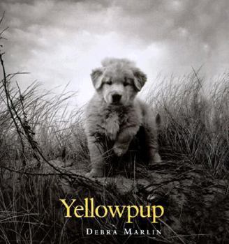 Hardcover Yellowpup Book