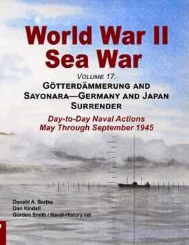 Paperback World War II Sea War, Volume 17 Book