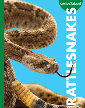 Library Binding Curious about Rattlesnakes Book