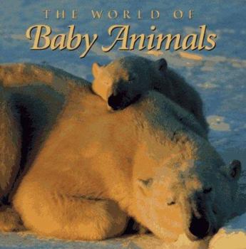 Hardcover World of Baby Animals Book