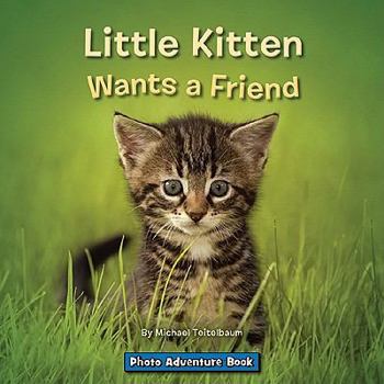Paperback Little Kitten Wants a Friend Book