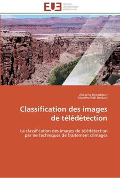 Paperback Classification des images de télédétection [French] Book