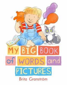 Hardcover My Big Book of Words and Pictures Book