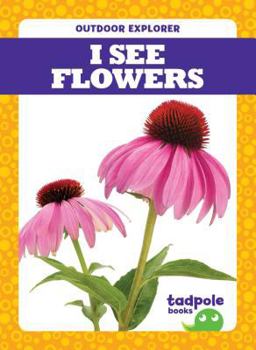 Paperback I See Flowers Book