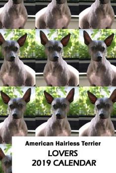 Paperback American Hairless Terrier Lovers 2019 Calendar Book