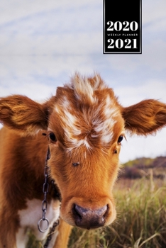Cow Cattle Farming Farmer Week Planner Weekly Organizer Calendar 2020 / 2021 - High Grass: Cute Wildlife Animal Pet Bullet Journal Notebook Diary in 6" x 9" Inch Pocket Size