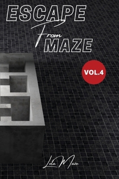 Escape From Maze: 70+ Maze Puzzle for Adults, Vol.4