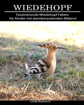 Wiedehopf: Faszinierende Wiedehopf Fakten f�r Kinder mit atemberaubenden Bildern!