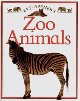 Hardcover Zoo Animals Book