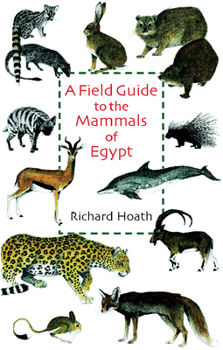 Hardcover A Field Guide to the Mammals of Egypt Book