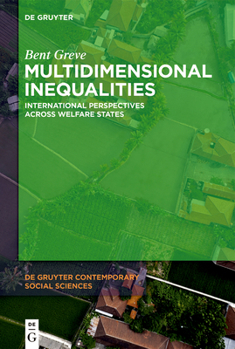 Paperback Multidimensional Inequalities: International Perspectives Across Welfare States Book