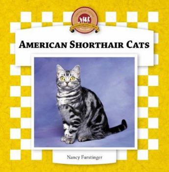 American Shorthair Cats (Cats Set IV) - Book  of the All about Cats