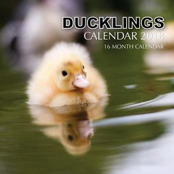 Ducklings Calendar 2018: 16 Month Calendar