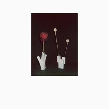 Music - CD Flower And The Vessel Book