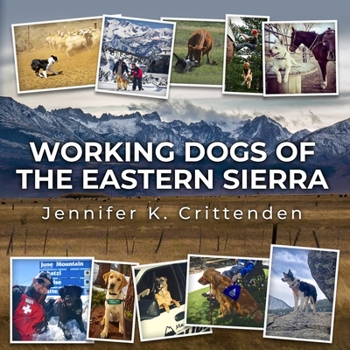 Paperback Working Dogs of the Eastern Sierra Book