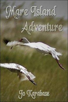 Paperback Mare Island Adventure Book