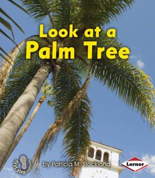 Paperback Look at a Palm Tree Book