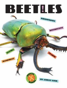 Paperback Beetles Book