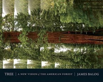 Paperback Tree: A New Vision of the American Forest Book