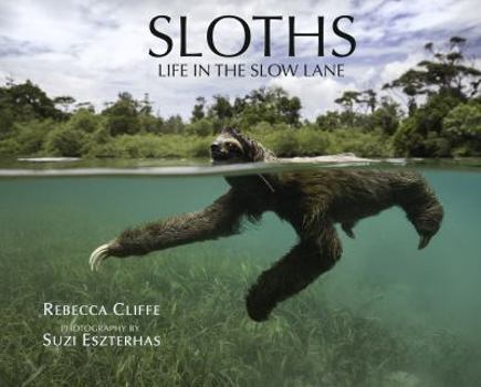 Hardcover Sloths: Life in the Slow Lane Book