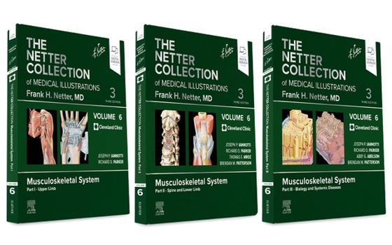 Misc. The Netter Collection of Medical Illustrations: Musculoskeletal System Package: Volume 6 Book