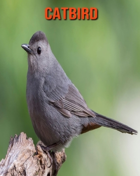 Paperback Catbird: Amazing Facts & Pictures Book