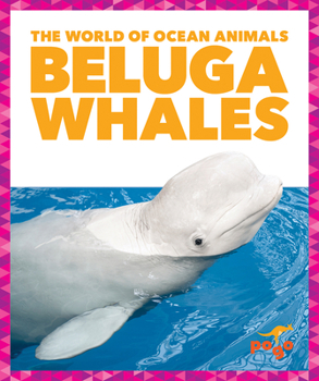Paperback Beluga Whales Book