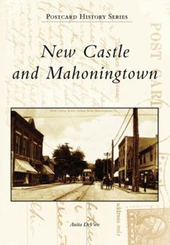 Paperback New Castle and Mahoningtown Book