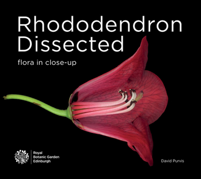 Paperback Rhododendron Dissected: Flora in Close-Up Book