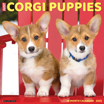 Calendar Just Corgi Puppies 2025 12 X 12 Wall Calendar Book