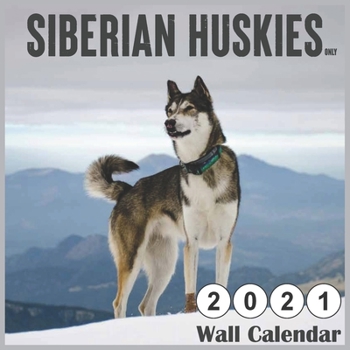 Paperback Siberian Huskies Only 2021 Wall Calendars: Monthly Square Wall Calendar, 18 months Book