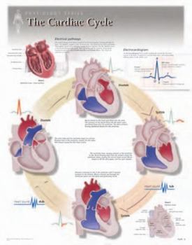 Misc. The Cardiac Cycle Wall Chart: 8140 Book