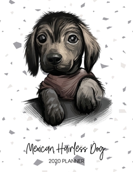 Paperback Mexican Hairless Dog 2020 Planner: Dated Weekly Diary With To Do Notes & Dog Quotes Book