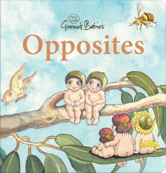 Board book Opposites (May Gibbs: Gumnut Babies) Book