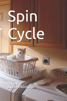 Spin Cycle
