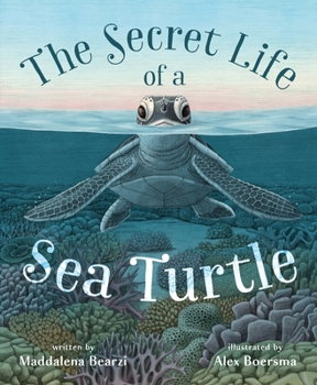 Hardcover The Secret Life of a Sea Turtle Book