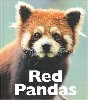 Library Binding Red Pandas Book