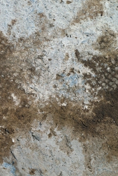 Happy Birthday Book: Happy Birthday Gifts Lined Journal Notebook  (713)  | Journal For Women, Friend Coworker  Birthday Gifts | Funny Gag Gift | Funny ... | 21 Birthday Gag Gifts For Best Friend)