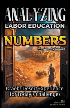 Paperback Analyzing the Labor Education in Numbers: Israel's Desert Experience for Today's Challenges Book