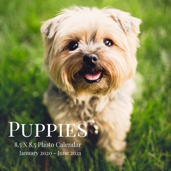 Puppies 8.5 X 8.5 Photo Calendar January 2020 - June 2021: 18 Monthly Mini Picture Calendar Book| Cute 2020-2021 Year Blank At A Glance Monthly ... 18 Months Engagement| Pet Animals Dog Theme.