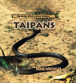 Taipans (Wechsler, Doug. Really Wild Life of Snakes.) - Book  of the Really Wild Life of Snakes