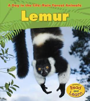 Paperback Lemur Book