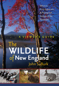 Paperback The Wildlife of New England: A Viewer's Guide Book