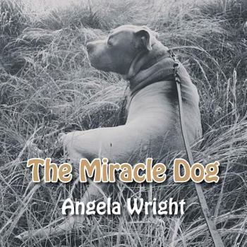 Paperback The Miracle Dog Book
