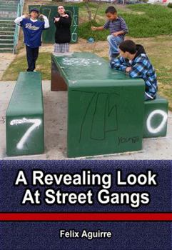 Paperback A Revealing Look At Street Gangs Book