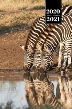 Paperback Zabra Safari Africa Savannah Week Planner Weekly Organizer Calendar 2020 / 2021 - Three at Waterhole: Cute Wildlife Animal Pet Bullet Journal Notebook Book