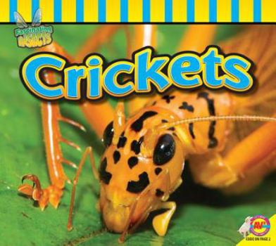 Crickets - Book  of the Insectos Fascinantes / Fascinating Insects