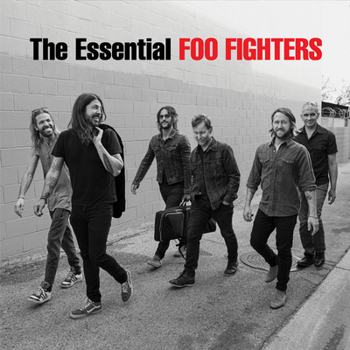 Vinyl The Essential Foo Fighters Book