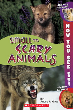 Paperback Now You See It! Small to Scary Animals Book
