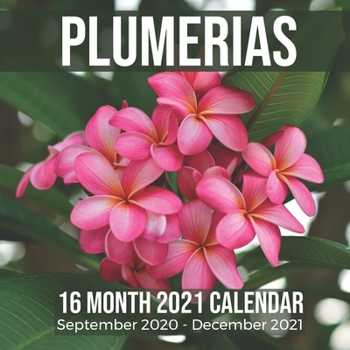 Paperback Plumerias: Photo Calendar 16 Month September 2020 - December 2021 Book